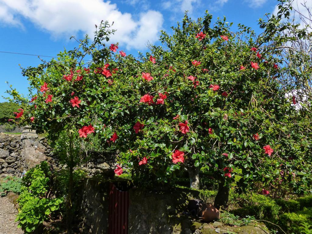 Quinta do Espírito Santo Casa de hóspedes Angra do Heroísmo Exterior foto